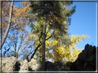 foto Giardini di Porta Venezia